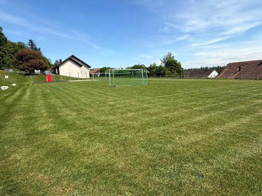 Trowa-GmbH_Rasen-maehen-05.jpg