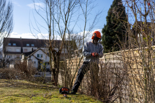 Trowa_Hecke-schneiden_4.jpg