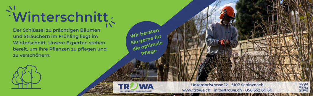Trowa_Winterschnitt02-laengs.png